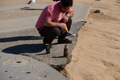 DSC_6882 (Large).JPG